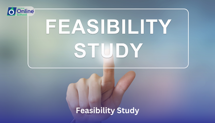 Lesson 06: Feasibility Study